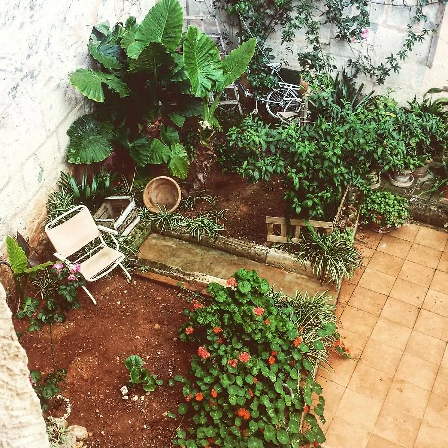 Sa Madona De Sa Pleta Bed & Breakfast Muro 0*,  Spain